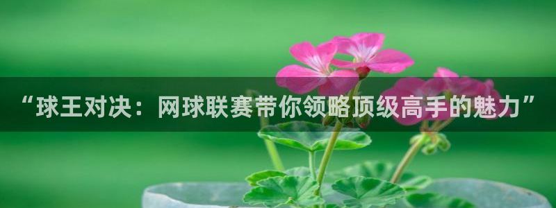 “球王对决：网球联赛带你领略顶级高手的魅力”