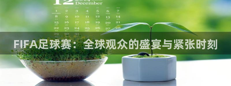 FIFA足球赛：全球观众的盛宴与紧张时刻