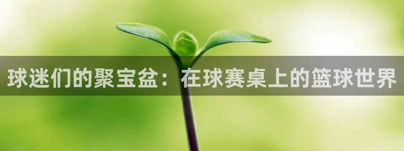 球迷们的聚宝盆：在球赛桌上的篮球世界