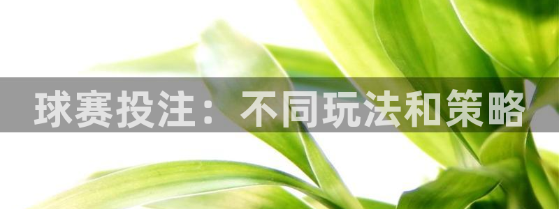 易游软件园：球赛投注：不同玩法和策略