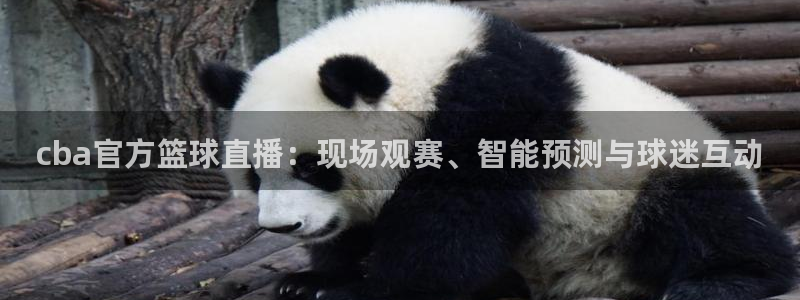 易游体育app官网入口下载：cba官方篮球直播：现场观赛、智