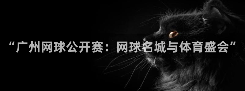 易游体育下载app官网：“广州网球公开赛：网球名城与体育盛会